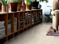 Клеевые виниловые полы Pergo Classic Plank Optimum Glue Дуб Нордик Белый V3201-40020